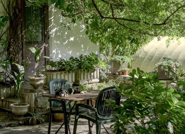 Eine ruhige Terrasse mit einem Tisch und Plastikstühlen im Schatten eines Baumes, wo eine Katze liegt.